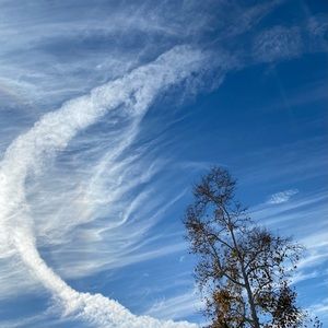 Meet your Posher, Rosalinda